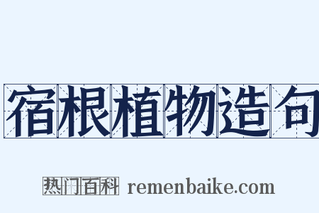 宿根植物造句是什么意思的图片